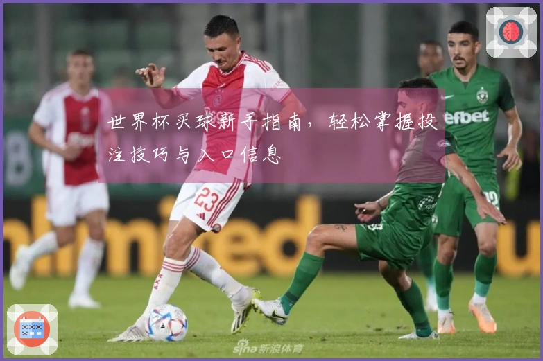 世界杯买球新手指南，轻松掌握投注技巧与入口信息