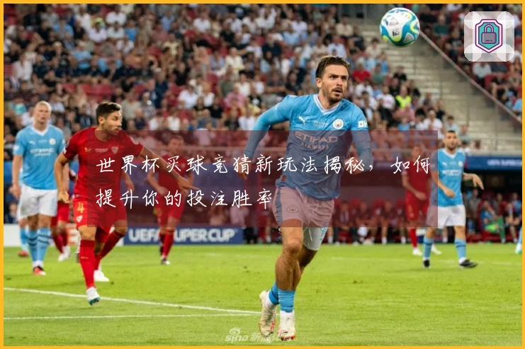 世界杯买球竞猜新玩法揭秘，如何提升你的投注胜率