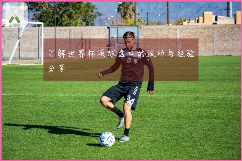 了解世界杯滚球盘口的技巧与经验分享