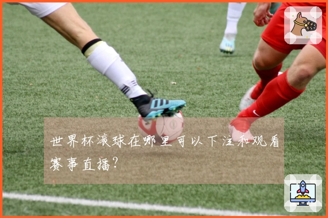 世界杯滚球在哪里可以下注和观看赛事直播？