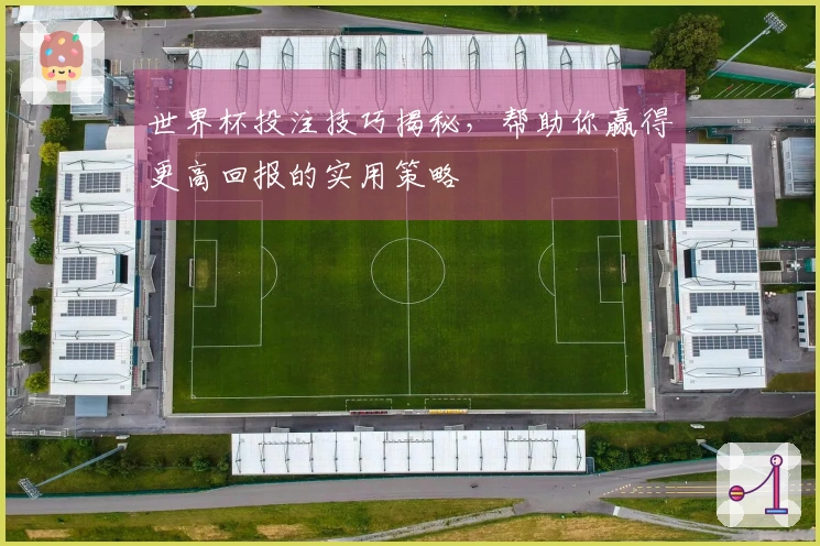 世界杯投注技巧揭秘，帮助你赢得更高回报的实用策略