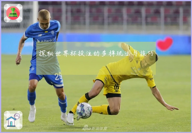 探秘世界杯投注的多样玩法与技巧