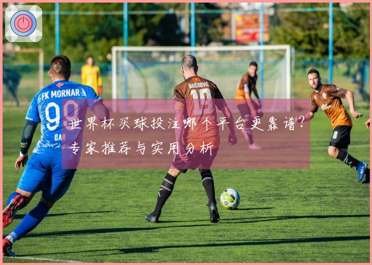 世界杯买球投注哪个平台更靠谱？专家推荐与实用分析