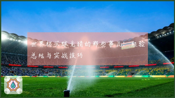 世界杯买球竞猜的那些事儿：经验总结与实战技巧