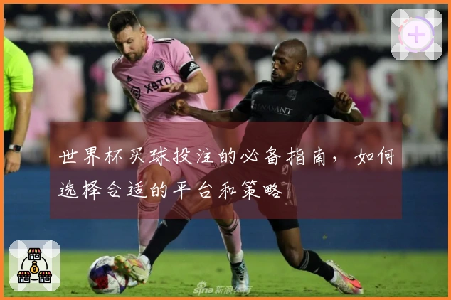 世界杯买球投注的必备指南，如何选择合适的平台和策略