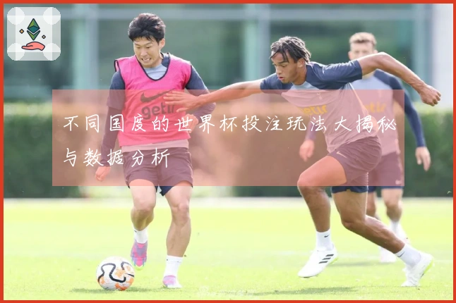 不同国度的世界杯投注玩法大揭秘与数据分析